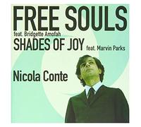 Conte Nicola - Shades of Joy (7")