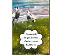 Contemple ce que tu vois et écris ce que tu pense: Carnet de notes _ Les œuvres de K6A Marie