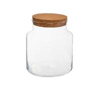 Atmosphera – Terrarium en verre et liège – 21,5 cm