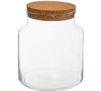 Terrarium en verre transparent Transparent