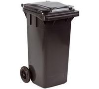 Conteneur mini 120 L (Gris)