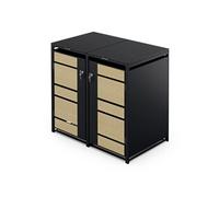 Conteneur à Poubelles BinSafe 2 poubelles 240 Lverrouillable acier galvanisé