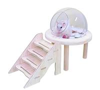Conteneur De Bain De Sable Pour Hamster, Avec Échelle Intégrée, 15 X 12 X 7 Cm, Douche En Acrylique Et Salle De Fouille, Toilettes Pour Hamster, Bac À Litière Pour , Large Applicabilité, Pour H