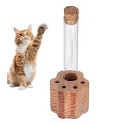 Conteneur de Moustache pour Chats | Mémorial de la Compassion pour la Perte d'animaux avec Base en Bois,Collection Chats Moustache - Pour Femmes, Adultes, Pères, Mamans, Amis et membres de la