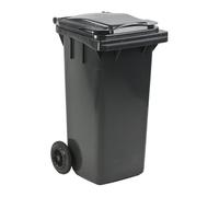 Conteneur mini 120 L (Gris)