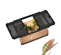 Conteneur pour reptiles, réservoir pour reptiles, Terrarium de lézard de réservoir de serpent transparent, Habitat pour petits reptiles, boîte d'élevage, enclos pour amphibiens, couvercle coulissant p