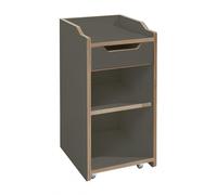 Conteneur roulant sans porte Plane WxHxD 34x66x39cm