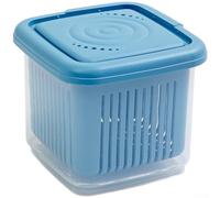 Conteneur Scellé Ail Échalote PP Transparent Fridge(blue)