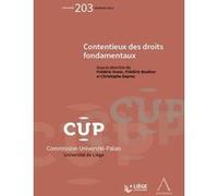 Contentieux des droits fondamentaux Christophe Deprez (Auteur), Frédéric Krenc (Auteur), Frédéric Bouhon (Auteur)
