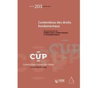 Contentieux des droits fondamentaux - Frédéric Bouhon - Anthemis - broché - Etude