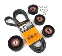Conti 6PK2498 Courroie + Poulie Jeu de Rouleaux pour Audi VW 2.7 3.0 Tdi