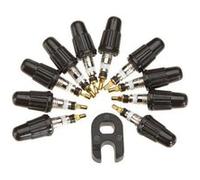 Continental Insert de valve Presta échangeable 0149690 – argenté – Pack de 10