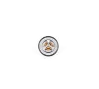 Continental 28.0200-4006.2 Thermostat d'eau