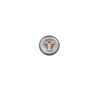 Continental 28.0200-4037.2 Thermostat d'eau