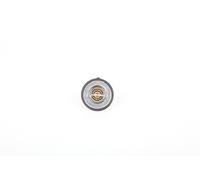 Continental 28.0200-4049.2 Thermostat d'eau
