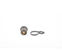 Continental 28.0200-4058.2 Thermostat d'eau