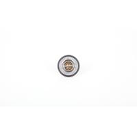 Continental 28.0200-4074.2 Thermostat d'eau