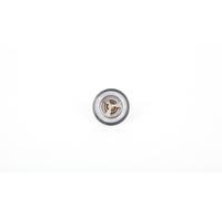 Continental 28.0200-4075.2 Thermostat d'eau