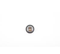 Continental 28.0200-4076.2 Thermostat d'eau