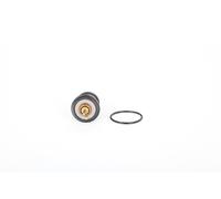 Continental 28.0200-4111.2 Thermostat d'eau