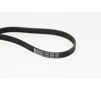 Continental 5PK2030 Jeu de courroies trapézoïdales