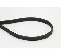 Continental Courroie multi-cannelée 6DPK1817 CTAM pour BMW 1, 1 Décapotable, 3, X1