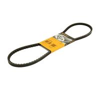 Continental Contitech 11,9X1013Ld Courroie trapézoïdale
