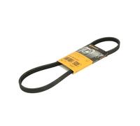 Continental Contitech 4PK860 ELAST Courroie trapézoïdale à nervures