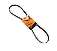 ContiTech Courroie trapézoïdale à nervures 5PK1219 Poly-V