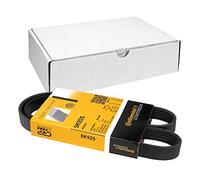ContiTech Courroie trapézoïdale à nervures 5PK925