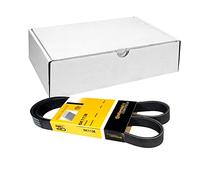 Continental Contitech 6PK1138 Courroie trapézoïdale à nervures