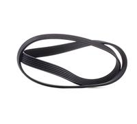 ContiTech Courroie trapézoïdale à nervures 6PK1205