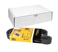 Continental Contitech 6PK1217 Courroie trapézoïdale à nervures