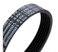 ContiTech Courroie trapézoïdale à nervures 6PK1256