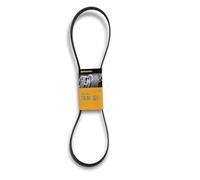 ContiTech Courroie trapézoïdale à nervures 6PK1264
