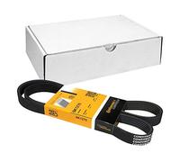 Continental Contitech 6PK1270 Courroie trapézoïdale à nervures