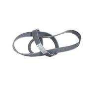 Continental Contitech 6PK1310 Courroie trapézoïdale à nervures