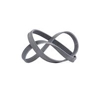 Courroie trapézoïdale à nervures CONTINENTAL 6PK1318