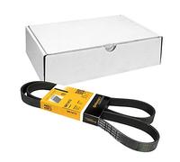 Continental Contitech 6PK1413 Courroie trapézoïdale à nervures
