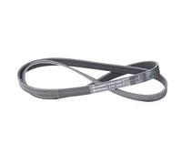 Courroie trapézoïdale à nervures CONTINENTAL 6PK1460