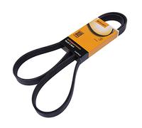 Courroie trapézoïdale à nervures CONTINENTAL 6PK1555