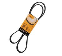 Continental Contitech 6PK1580 Courroie trapézoïdale à nervures