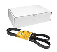Continental Contitech 6PK1590 Courroie trapézoïdale à nervures