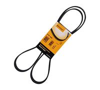 Courroie à nervures trapézoïdales CONTITECH 6PK1642