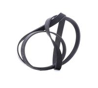 ContiTech Courroie trapézoïdale à nervures 6PK1670 pour alternateur et compresseur