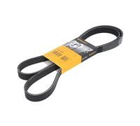 Continental Contitech 6PK1680 Courroie trapézoïdale à nervures