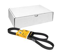 Continental Contitech 6PK1693 Courroie trapézoïdale à nervures
