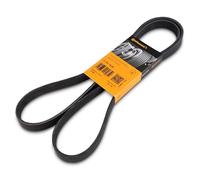 ContiTech Courroie trapézoïdale à nervures 6PK1698