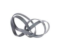 CONTITECH Courroie d'accessoire 4010858481322