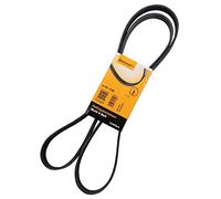 ContiTech Courroie trapézoïdale à nervures 6PK1795